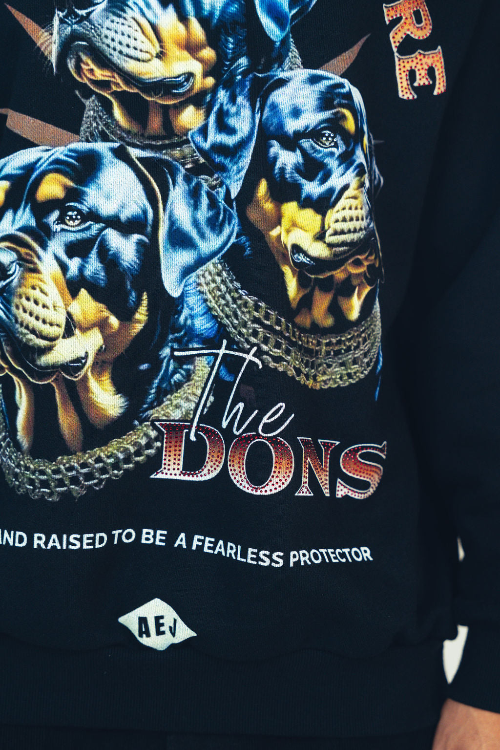 Black sweatshirt with graphic of panther heads and 'The Dons' text on a dark background